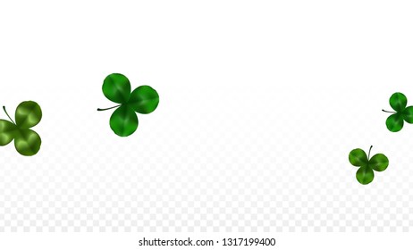 Vector Clover Leaf  Isolated on Transparent Background with Space for Text. St. Patrick's Day Illustration. Ireland's Lucky Shamrock Poster. Invintation for Irish Party Top View.  Success Symbols.