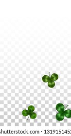 Vector Clover Leaf  Isolated on Transparent Background with Space for Text. St. Patrick's Day Illustration. Ireland's Lucky Shamrock Poster. Invintation for Irish Party Flatlay.  Success Symbols.