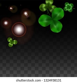 Vector Clover Leaf  Isolated on Transparent Background with Space for Text. St. Patrick's Day Illustration. Ireland's Lucky Shamrock Poster. Banner for Concert in Pub. Top View.  Success Symbols.