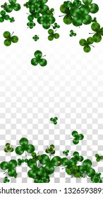 Vector Clover Leaf  Isolated on Transparent Background with Space for Text. St. Patrick's Day Illustration. Ireland's Lucky Shamrock Poster. Banner for Concert in Pub. Flatlay.  Success Symbols.