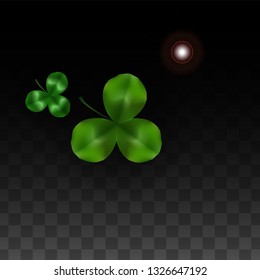 Vector Clover Leaf  Isolated on Transparent Background with Space for Text. St. Patrick's Day Illustration. Ireland's Lucky Shamrock Poster. Banner for Concert in Pub. Top View.  Success Symbols.