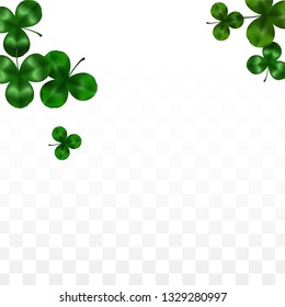 Vector Clover Leaf  Isolated on Transparent Background with Space for Text. St. Patrick's Day Illustration. Ireland's Lucky Shamrock Poster. Invintation for Irish Party Top View.  Success Symbols.