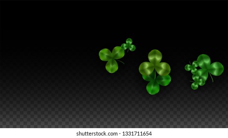 Vector Clover Leaf  Isolated on Transparent Background with Space for Text. St. Patrick's Day Illustration. Ireland's Lucky Shamrock Poster. Banner for Concert in Pub. Top View.  Success Symbols.