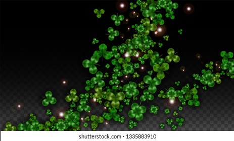 Vector Clover Leaf  Isolated on Transparent Background with Space for Text. St. Patrick's Day Illustration. Ireland's Lucky Shamrock Poster. Invintation for Concert in Pub. Flatlay.  Success Symbols.