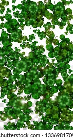Vector Clover Leaf  Isolated on Transparent Background with Space for Text. St. Patrick's Day Illustration. Ireland's Lucky Shamrock Poster. Invintation for Concert in Pub. Top View.  Success Symbols.