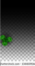 Vector Clover Leaf  Isolated on Transparent Background with Space for Text. St. Patrick's Day Illustration. Ireland's Lucky Shamrock Poster. Invintation for Concert in Pub. Flatlay.  Success Symbols.