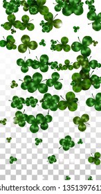 Vector Clover Leaf  Isolated on Transparent Background with Space for Text. St. Patrick's Day Illustration. Ireland's Lucky Shamrock Poster. Invintation for Concert in Pub. Top View.  Success Symbols.