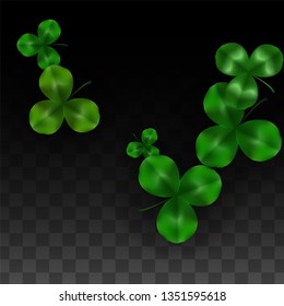 Vector Clover Leaf  Isolated on Transparent Background with Space for Text. St. Patrick's Day Illustration. Ireland's Lucky Shamrock Poster. Invintation for Irish Party Flatlay.  Success Symbols.