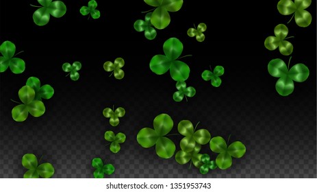 Vector Clover Leaf  Isolated on Transparent Background with Space for Text. St. Patrick's Day Illustration. Ireland's Lucky Shamrock Poster. Invintation for Concert in Pub. Flatlay.  Success Symbols.