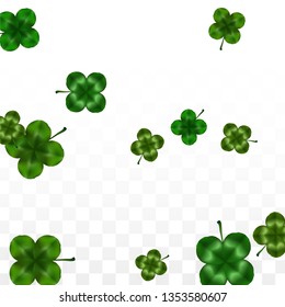 Vector Clover Leaf  Isolated on Transparent Background with Space for Text. St. Patrick's Day Illustration. Ireland's Lucky Shamrock Poster. Invintation for Concert in Pub. Flatlay.  Success Symbols.