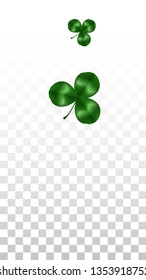 Vector Clover Leaf  Isolated on Transparent Background with Space for Text. St. Patrick's Day Illustration. Ireland's Lucky Shamrock Poster. Banner for Concert in Pub. Flatlay.  Success Symbols.