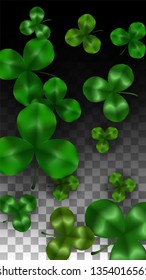 Vector Clover Leaf  Isolated on Transparent Background with Space for Text. St. Patrick's Day Illustration. Ireland's Lucky Shamrock Poster. Invintation for Concert in Pub. Top View.  Success Symbols.