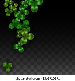 Vector Clover Leaf  Isolated on Transparent Background with Space for Text. St. Patrick's Day Illustration. Ireland's Lucky Shamrock Poster. Invintation for Irish Party Flatlay.  Success Symbols.