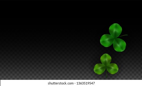 Vector Clover Leaf  Isolated on Transparent Background with Space for Text. St. Patrick's Day Illustration. Ireland's Lucky Shamrock Poster. Banner for Concert in Pub. Top View.  Success Symbols.
