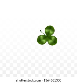 Vector Clover Leaf  Isolated on Transparent Background with Space for Text. St. Patrick's Day Illustration. Ireland's Lucky Shamrock Poster. Invintation for Irish Party Top View.  Success Symbols.