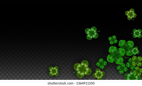 Vector Clover Leaf  Isolated on Transparent Background with Space for Text. St. Patrick's Day Illustration. Ireland's Lucky Shamrock Poster. Banner for Irish Party Flatlay.  Success Symbols.