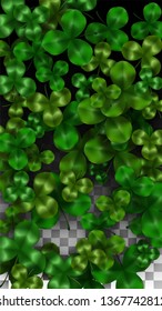 Vector Clover Leaf  Isolated on Transparent Background with Space for Text. St. Patrick's Day Illustration. Ireland's Lucky Shamrock Poster. Invintation for Concert in Pub. Top View.  Success Symbols.