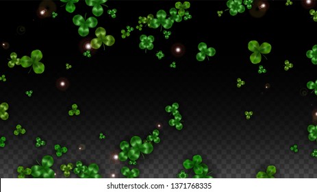 Vector Clover Leaf  Isolated on Transparent Background with Space for Text. St. Patrick's Day Illustration. Ireland's Lucky Shamrock Poster. Banner for Irish Party Flatlay.  Success Symbols.