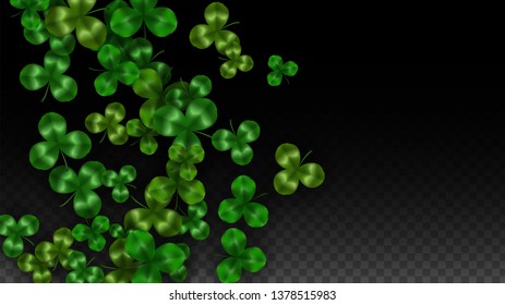 Vector Clover Leaf  Isolated on Transparent Background with Space for Text. St. Patrick's Day Illustration. Ireland's Lucky Shamrock Poster. Invintation for Irish Party Top View.  Success Symbols.