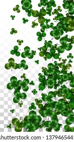 Vector Clover Leaf  Isolated on Transparent Background with Space for Text. St. Patrick's Day Illustration. Ireland's Lucky Shamrock Poster. Invintation for Concert in Pub. Top View.  Success Symbols.