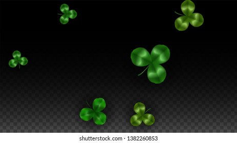Vector Clover Leaf  Isolated on Transparent Background with Space for Text. St. Patrick's Day Illustration. Ireland's Lucky Shamrock Poster. Invintation for Concert in Pub. Flatlay.  Success Symbols.