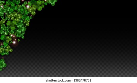 Vector Clover Leaf  Isolated on Transparent Background with Space for Text. St. Patrick's Day Illustration. Ireland's Lucky Shamrock Poster. Invintation for Irish Party Flatlay.  Success Symbols.