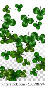 Vector Clover Leaf  Isolated on Transparent Background with Space for Text. St. Patrick's Day Illustration. Ireland's Lucky Shamrock Poster. Banner for Concert in Pub. Top View.  Success Symbols.