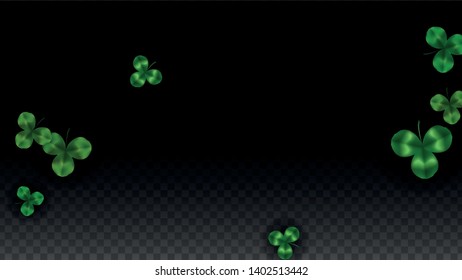 Vector Clover Leaf  Isolated on Transparent Background with Space for Text. St. Patrick's Day Illustration. Ireland's Lucky Shamrock Poster. Banner for Irish Party Flatlay.  Success Symbols.