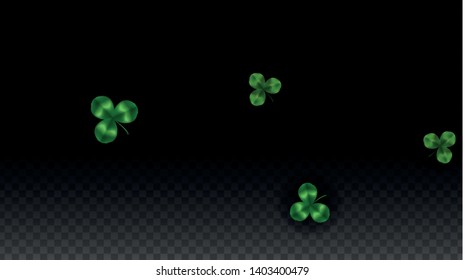 Vector Clover Leaf  Isolated on Transparent Background with Space for Text. St. Patrick's Day Illustration. Ireland's Lucky Shamrock Poster. Banner for Irish Party Flatlay.  Success Symbols.