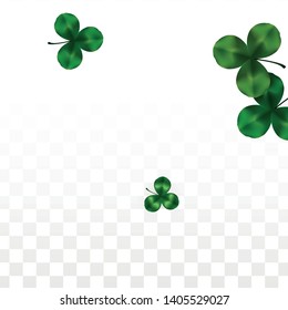 Vector Clover Leaf  Isolated on Transparent Background with Space for Text. St. Patrick's Day Illustration. Ireland's Lucky Shamrock Poster. Banner for Irish Party Flatlay.  Success Symbols.
