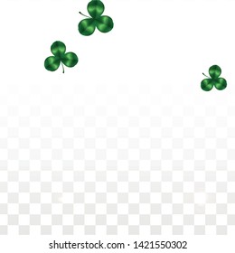 Vector Clover Leaf  Isolated on Transparent Background with Space for Text. St. Patrick's Day Illustration. Ireland's Lucky Shamrock Poster. Invintation for Irish Party Flatlay.  Success Symbols.