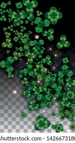 Vector Clover Leaf  Isolated on Transparent Background with Space for Text. St. Patrick's Day Illustration. Ireland's Lucky Shamrock Poster. Invintation for Concert in Pub. Flatlay.  Success Symbols.
