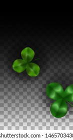 Vector Clover Leaf  Isolated on Transparent Background with Space for Text. St. Patrick's Day Illustration. Ireland's Lucky Shamrock Poster. Banner for Irish Party Flatlay.  Success Symbols.