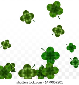 Vector Clover Leaf  Isolated on Transparent Background with Space for Text. St. Patrick's Day Illustration. Ireland's Lucky Shamrock Poster. Banner for Irish Party Top View.  Success Symbols.