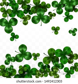 Vector Clover Leaf  Isolated on Transparent Background with Space for Text. St. Patrick's Day Illustration. Ireland's Lucky Shamrock Poster. Invintation for Concert in Pub. Top View.  Success Symbols.