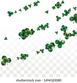 Vector Clover Leaf  Isolated on Transparent Background with Space for Text. St. Patrick's Day Illustration. Ireland's Lucky Shamrock Poster. Banner for Concert in Pub. Flatlay.  Success Symbols.