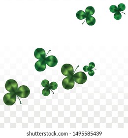Vector Clover Leaf  Isolated on Transparent Background with Space for Text. St. Patrick's Day Illustration. Ireland's Lucky Shamrock Poster. Invintation for Irish Party Top View.  Success Symbols.