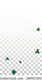 Vector Clover Leaf  Isolated on Transparent Background with Space for Text. St. Patrick's Day Illustration. Ireland's Lucky Shamrock Poster. Banner for Concert in Pub. Top View.  Success Symbols.