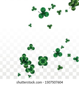 Vector Clover Leaf  Isolated on Transparent Background with Space for Text. St. Patrick's Day Illustration. Ireland's Lucky Shamrock Poster. Banner for Concert in Pub. Top View.  Success Symbols.