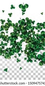 Vector Clover Leaf  Isolated on Transparent Background with Space for Text. St. Patrick's Day Illustration. Ireland's Lucky Shamrock Poster. Invintation for Irish Party Flatlay.  Success Symbols.