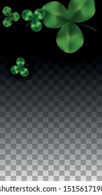 Vector Clover Leaf  Isolated on Transparent Background with Space for Text. St. Patrick's Day Illustration. Ireland's Lucky Shamrock Poster. Banner for Irish Party Top View.  Success Symbols.