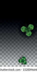 Vector Clover Leaf  Isolated on Transparent Background with Space for Text. St. Patrick's Day Illustration. Ireland's Lucky Shamrock Poster. Banner for Concert in Pub. Top View.  Success Symbols.