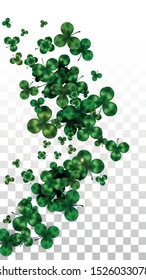 Vector Clover Leaf  Isolated on Transparent Background with Space for Text. St. Patrick's Day Illustration. Ireland's Lucky Shamrock Poster. Banner for Irish Party Flatlay.  Success Symbols.