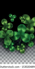 Vector Clover Leaf  Isolated on Transparent Background with Space for Text. St. Patrick's Day Illustration. Ireland's Lucky Shamrock Poster. Invintation for Concert in Pub. Top View.  Success Symbols.