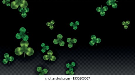 Vector Clover Leaf  Isolated on Transparent Background with Space for Text. St. Patrick's Day Illustration. Ireland's Lucky Shamrock Poster. Banner for Irish Party Flatlay.  Success Symbols.
