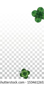 Vector Clover Leaf  Isolated on Transparent Background with Space for Text. St. Patrick's Day Illustration. Ireland's Lucky Shamrock Poster. Invintation for Irish Party Top View.  Success Symbols.