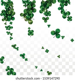 Vector Clover Leaf  Isolated on Transparent Background with Space for Text. St. Patrick's Day Illustration. Ireland's Lucky Shamrock Poster. Banner for Irish Party Top View.  Success Symbols.
