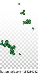 Vector Clover Leaf  Isolated on Transparent Background with Space for Text. St. Patrick's Day Illustration. Ireland's Lucky Shamrock Poster. Invintation for Irish Party Flatlay.  Success Symbols.