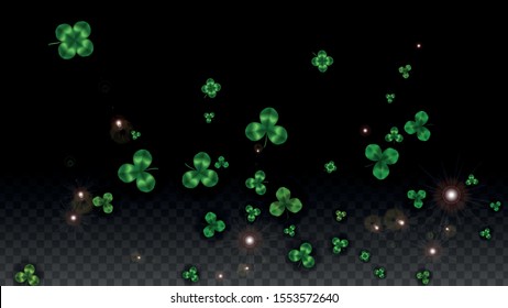 Vector Clover Leaf  Isolated on Transparent Background with Space for Text. St. Patrick's Day Illustration. Ireland's Lucky Shamrock Poster. Banner for Concert in Pub. Flatlay.  Success Symbols.