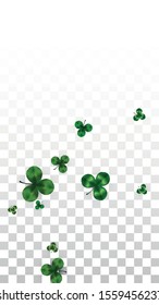 Vector Clover Leaf  Isolated on Transparent Background with Space for Text. St. Patrick's Day Illustration. Ireland's Lucky Shamrock Poster. Banner for Irish Party Top View.  Success Symbols.